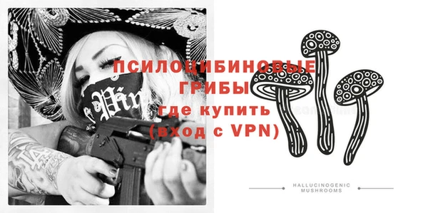 спиды Костерёво