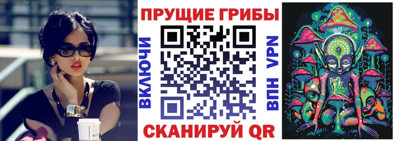 Псилоцибиновые грибы Cubensis MEGA ССЫЛКА Нижневартовск